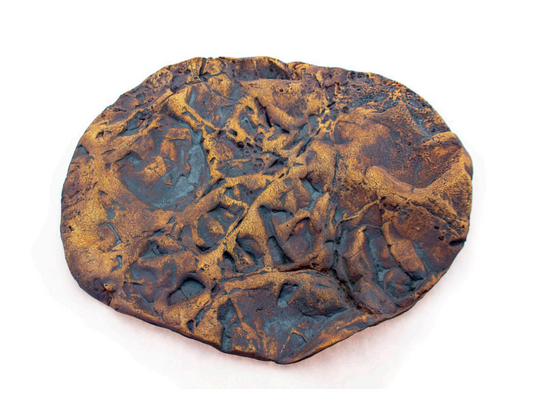 Megan March "Skin Impressions: Fossil Rock"