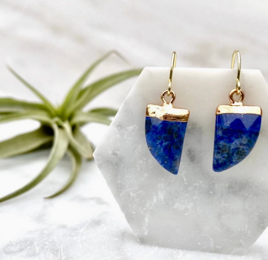 Minor Metal Lapis Lazuli Horn Earrings