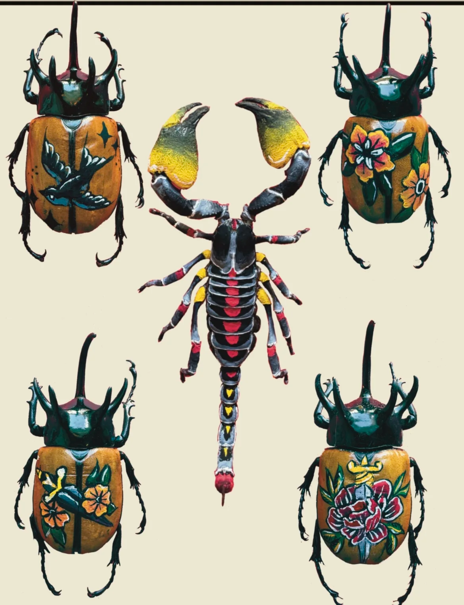 Of Moth & Flame "Tattoo Bugs" Print