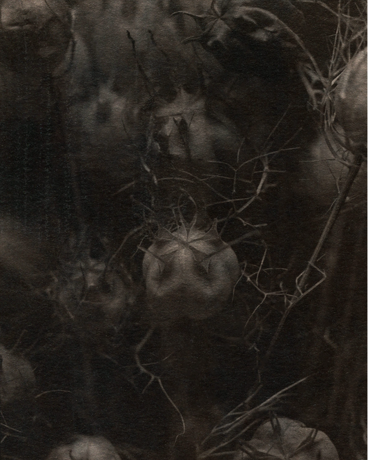 Michelle Smith-Lewis "In the Mist"