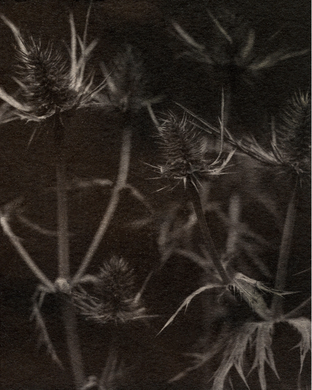 Michelle Smith-Lewis "Pointy Objects"