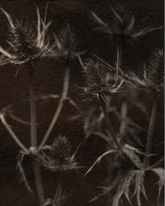 Michelle Smith-Lewis "Pointy Objects"