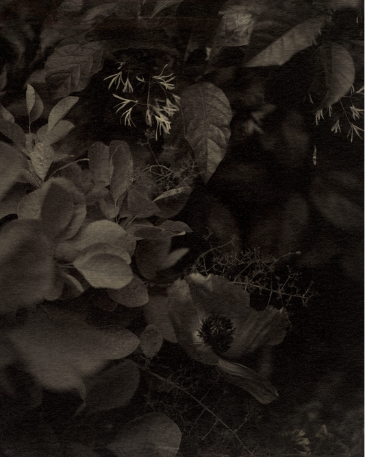 Michelle Smith-Lewis "The Quiet Spot"
