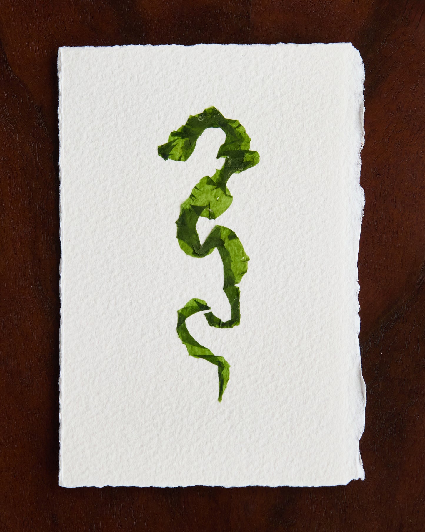 Falling Tide Press "Sea Lettuce I"