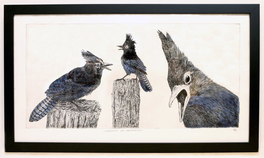 Lynn Rosskamp "Screamin' Jay Squawkins"