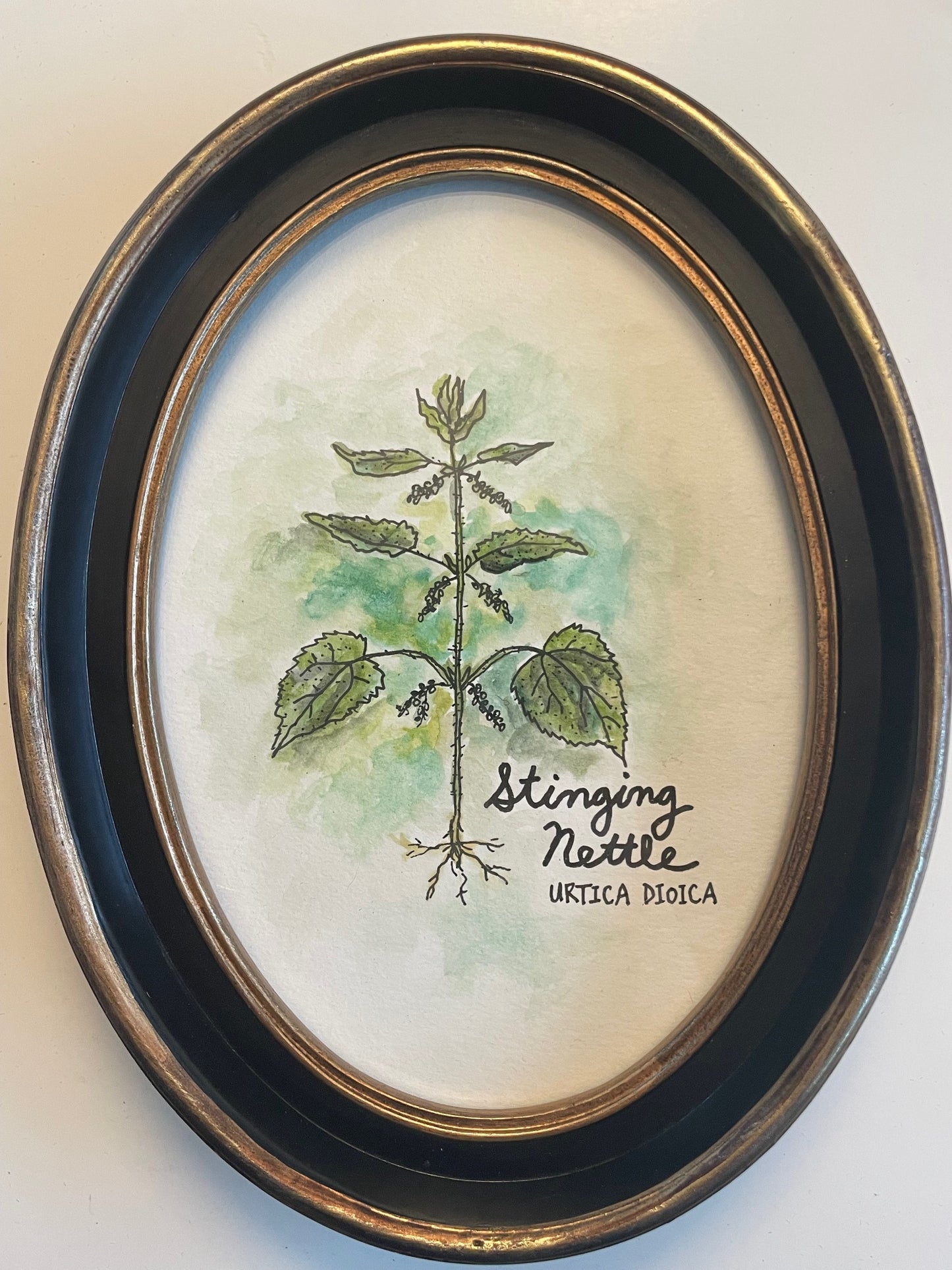 Taha Ebrahimi "Stinging Nettle"