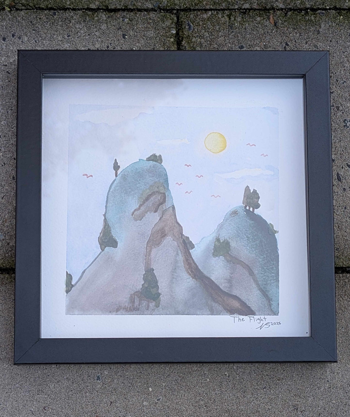 Neal Swain "The Flight"