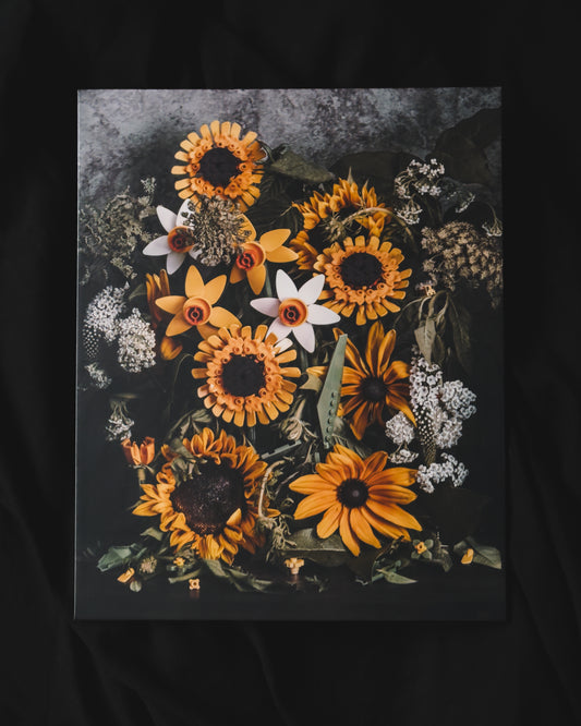 Alyssa Thorne "Synthesis"