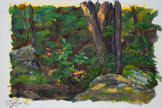 Taylor Miller "Mt. Sequoia"