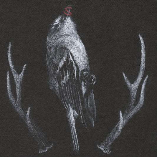 Shannon Thomas "Things with Feathers IV" (Online)