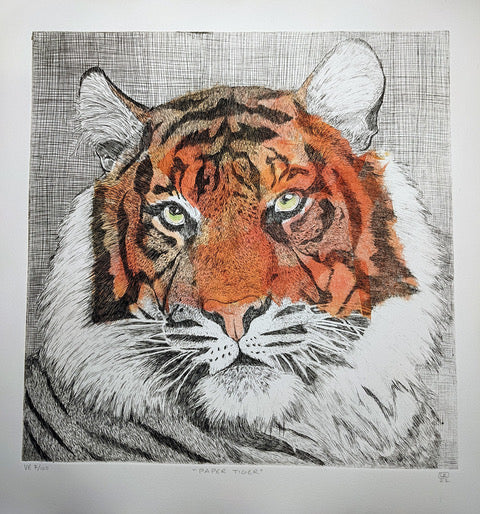 Lynn Rosskamp "Paper Tiger"