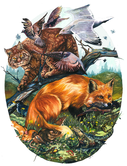 Bayla Arietta "Urban Rapid Evolution"