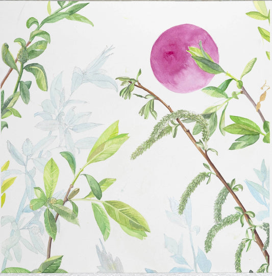 Maggie Yarrow Grae "Willow"