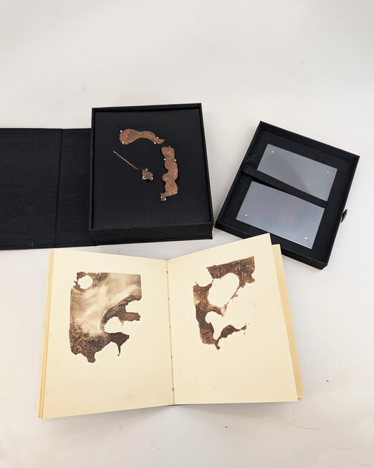 Bryce Wall "Metastatic Memory, Vol. I"