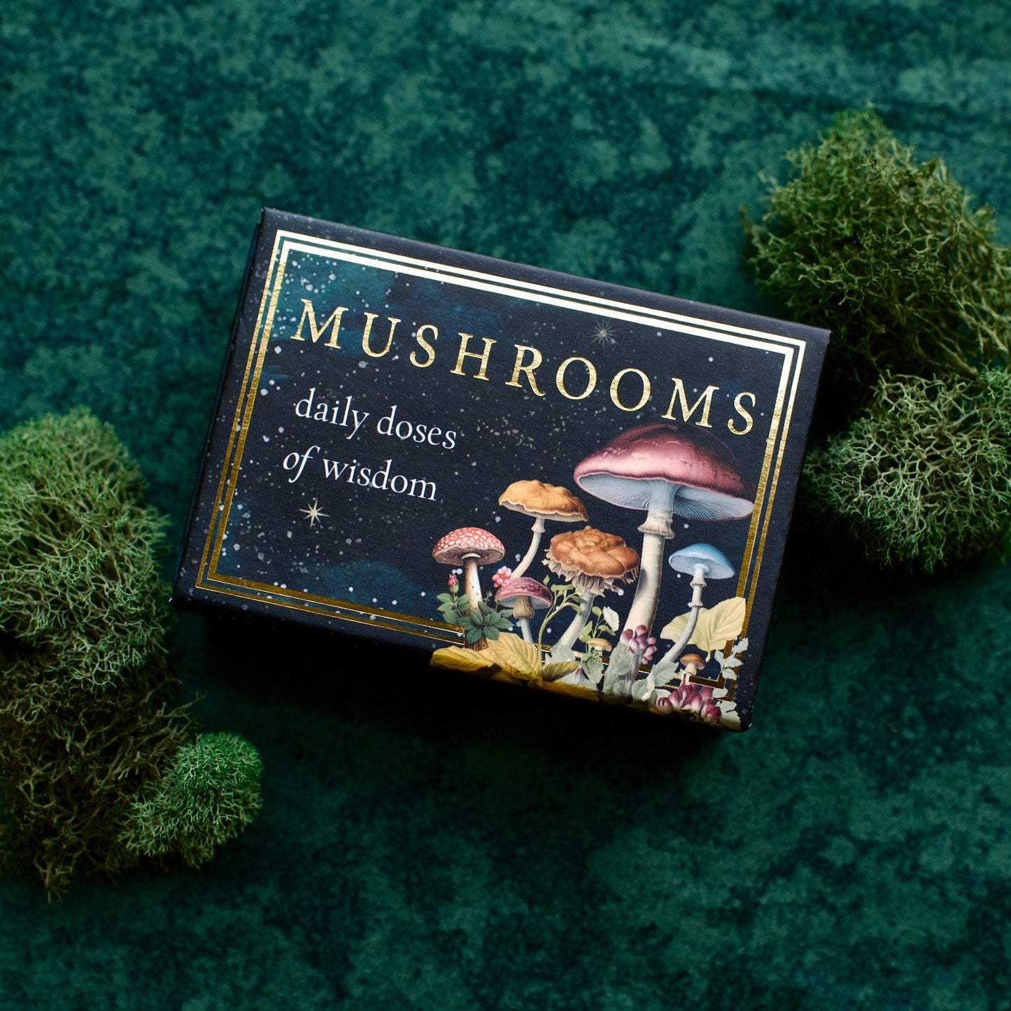 Mushrooms: Daily Doses of Wisdom (Mini) *PRE-ORDER 1/12*