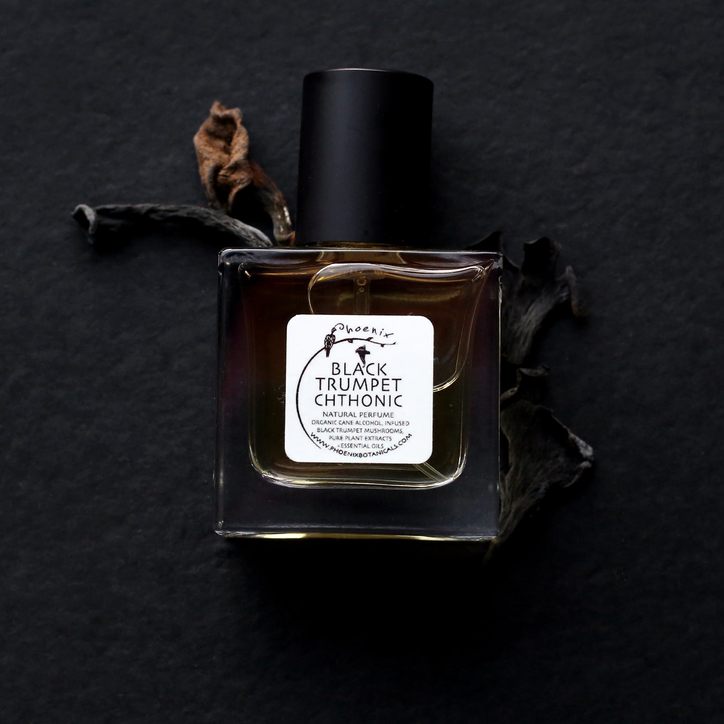 Irene Adam / Phoenix Botanicals "Black Trumpet Chthonic"