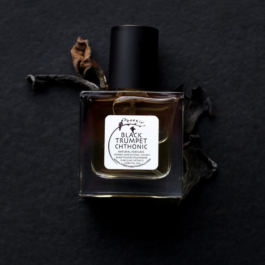 Irene Adam / Phoenix Botanicals "Black Trumpet Chthonic"