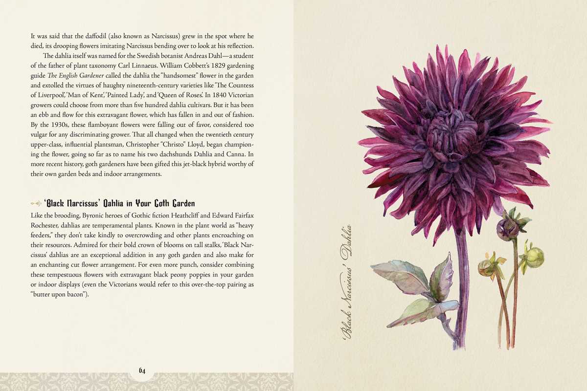 Felicia Feaster "The Goth Garden" Book