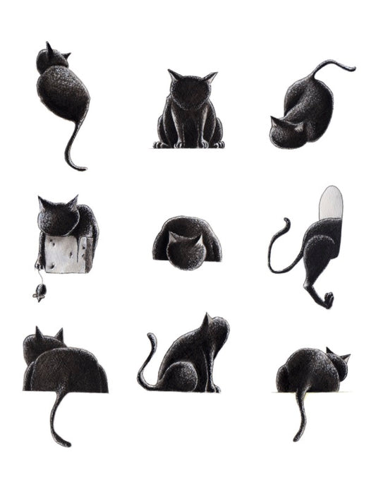 Yusuke Yazawa "Colección de gatos"
