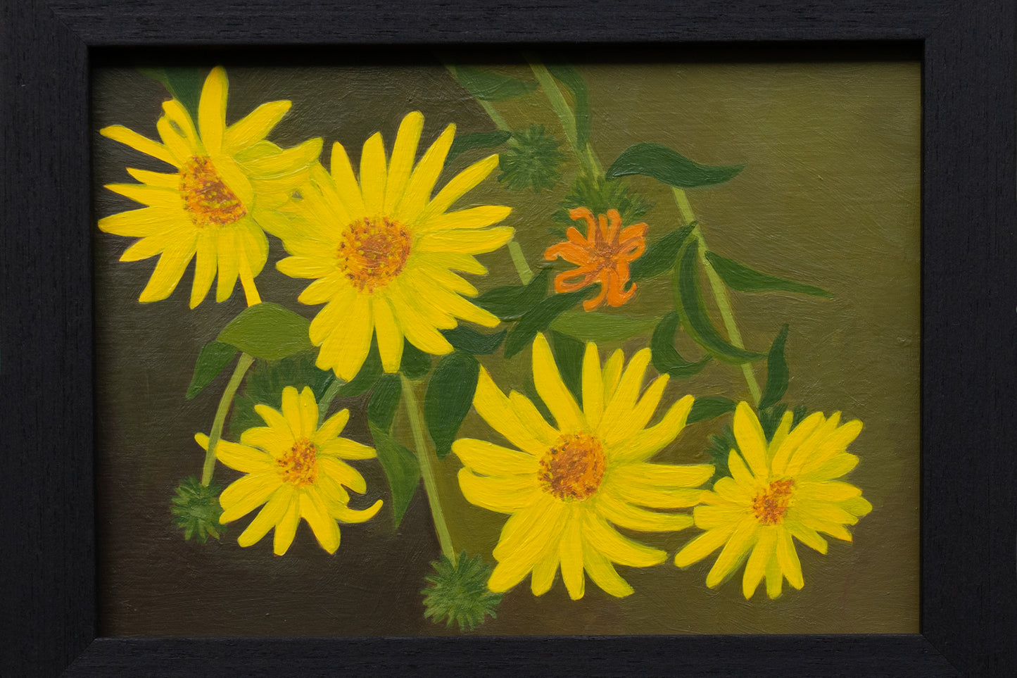 Amy Daileda "Gumweed"