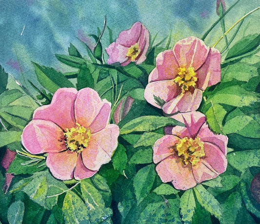 Luanne Dominix "Emily's"