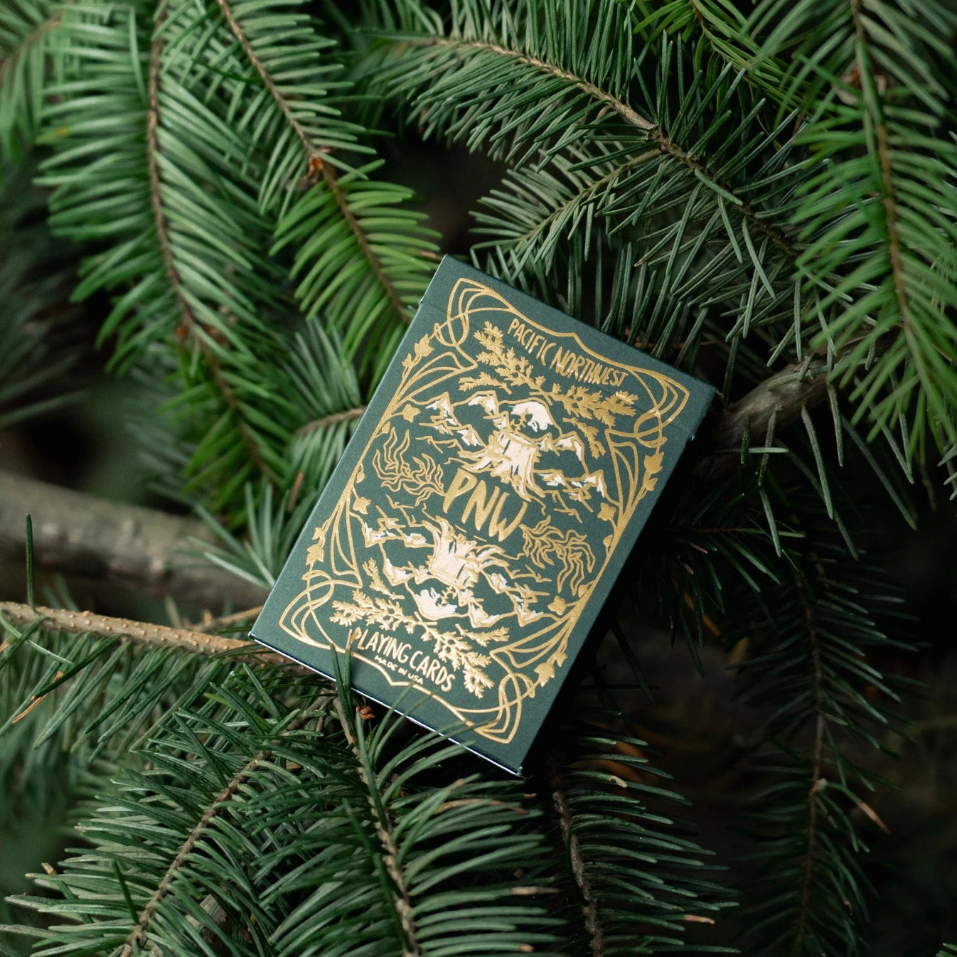 Green and gold card deck on a branch with green leaves