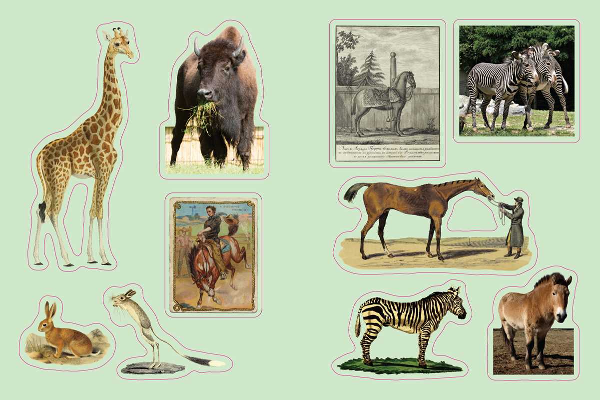 Cabinet of Curiosities Sticker Compendium