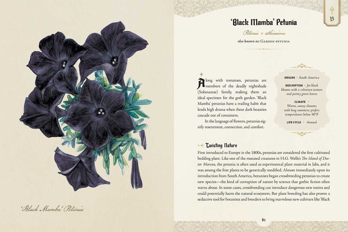 Felicia Feaster "The Goth Garden" Book