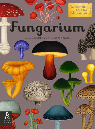 Welcome to the Museum: Fungarium