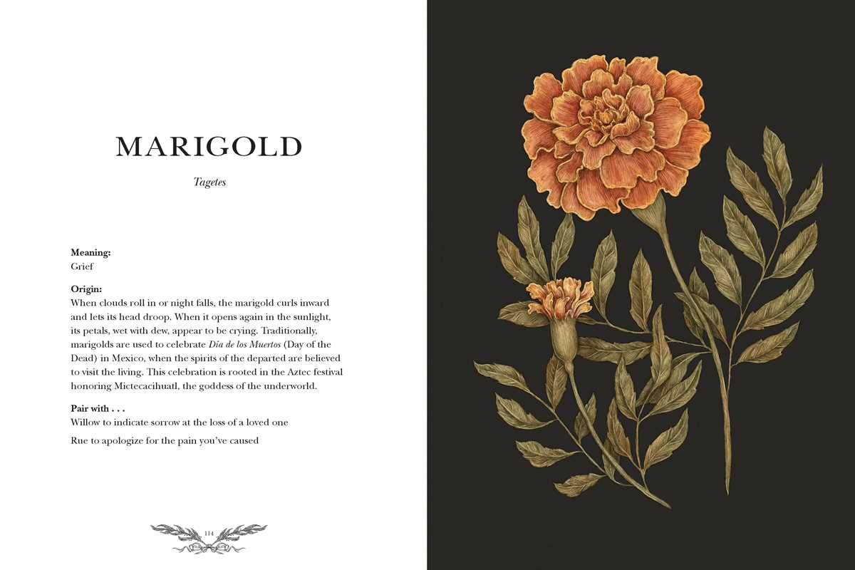 Jessica Roux "Floriography" Botanical Encyclopedia