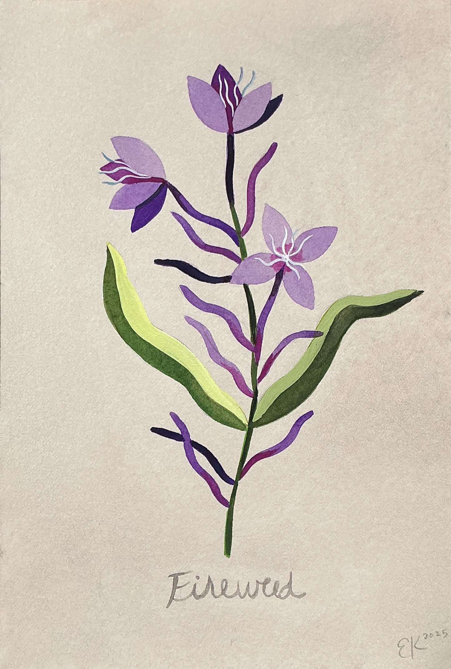 Erin Kendig "Fireweed"