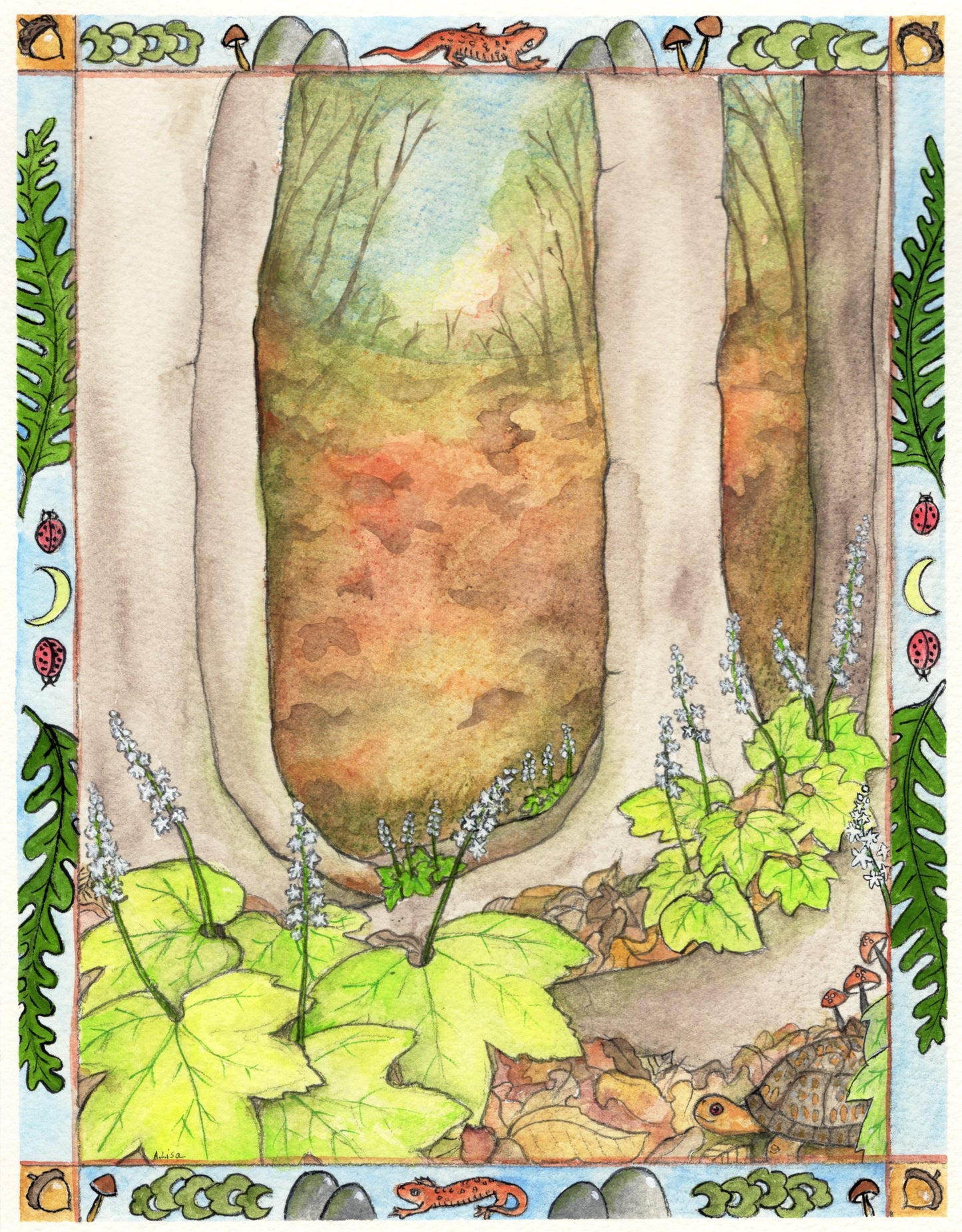 Annabell Lisa "Foam Flower"