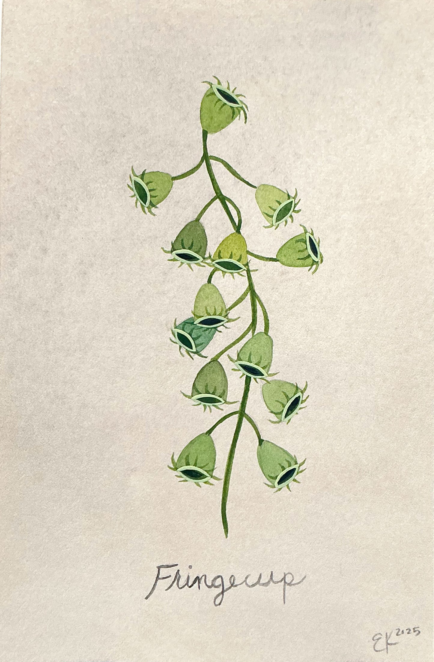 Erin Kendig "Fringecup"