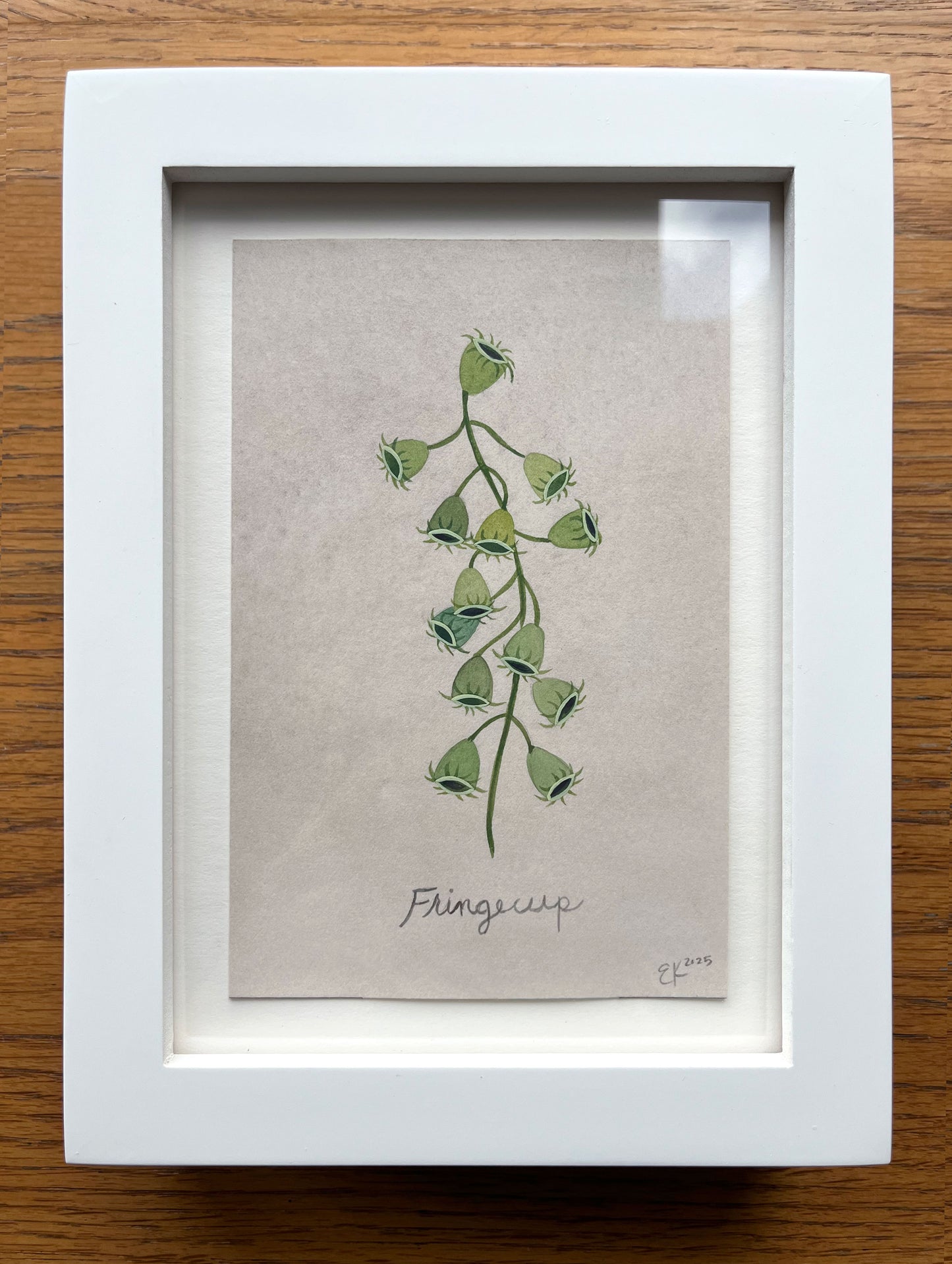 Erin Kendig "Fringecup"