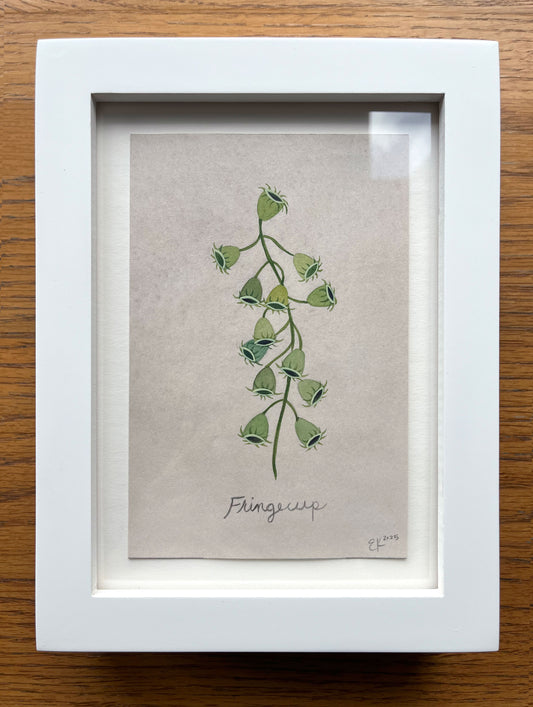 Erin Kendig "Fringecup"