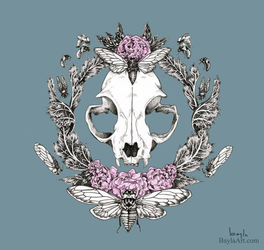 Bayla Arietta "Cat Skull and Cicada"