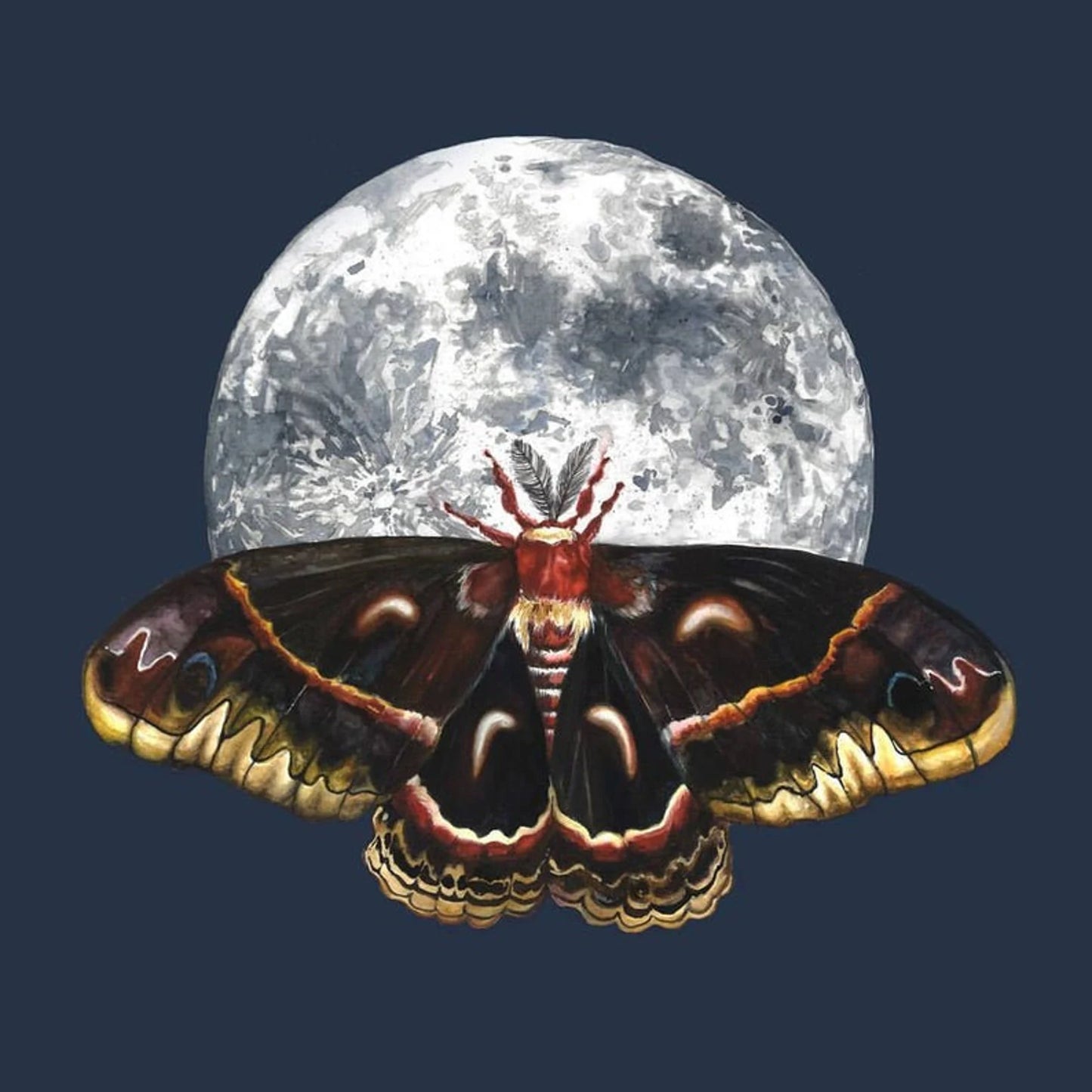 Bayla Arietta "Cecropia Moth and Moon"