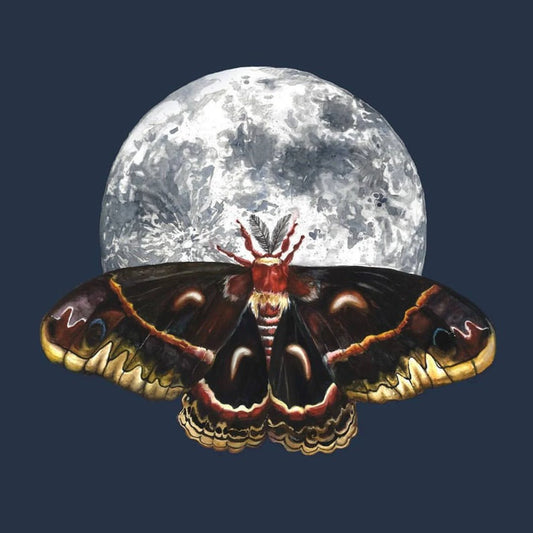 Bayla Arietta "Cecropia Moth and Moon"