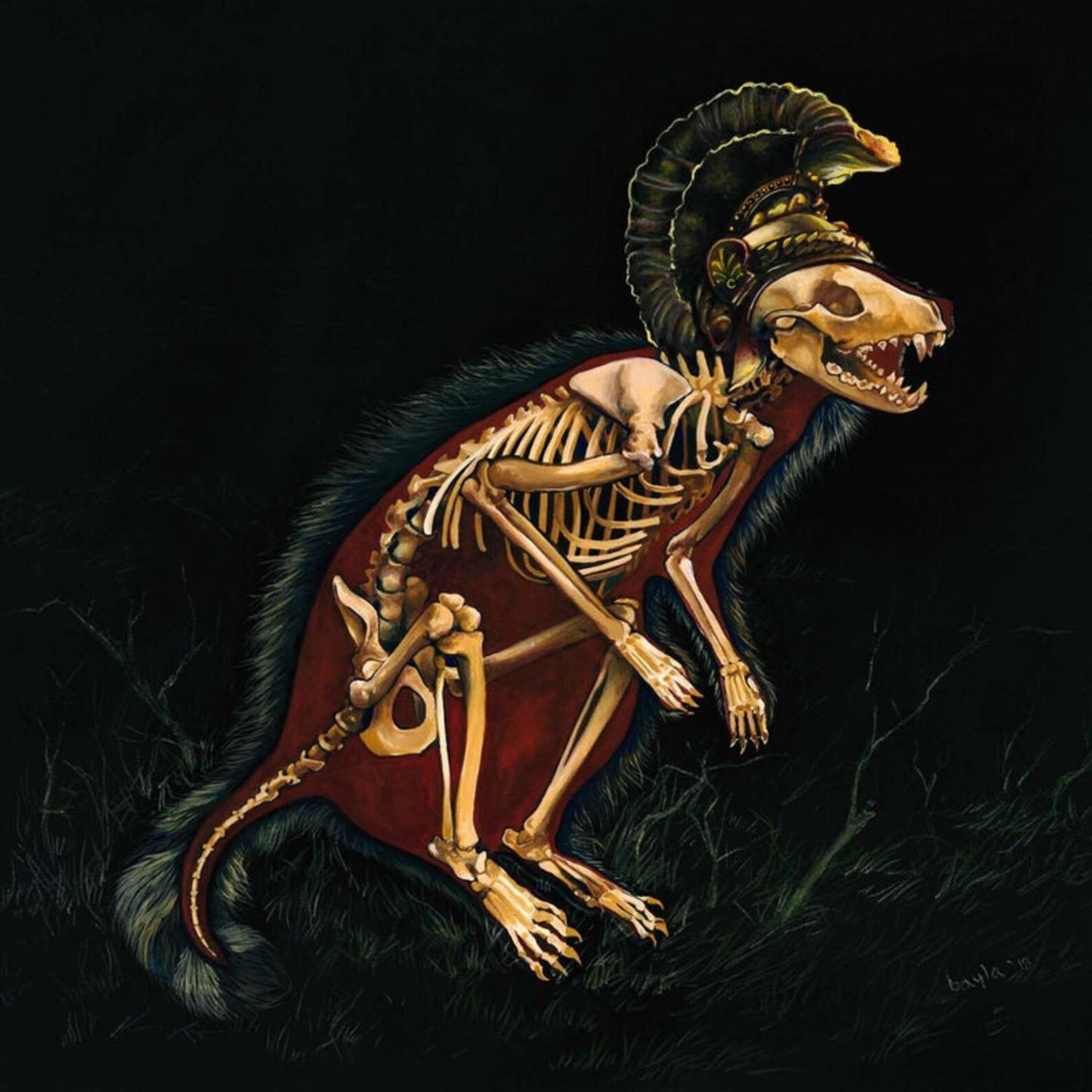 Bayla Arietta "Raccoon w/Minerva Helmet"