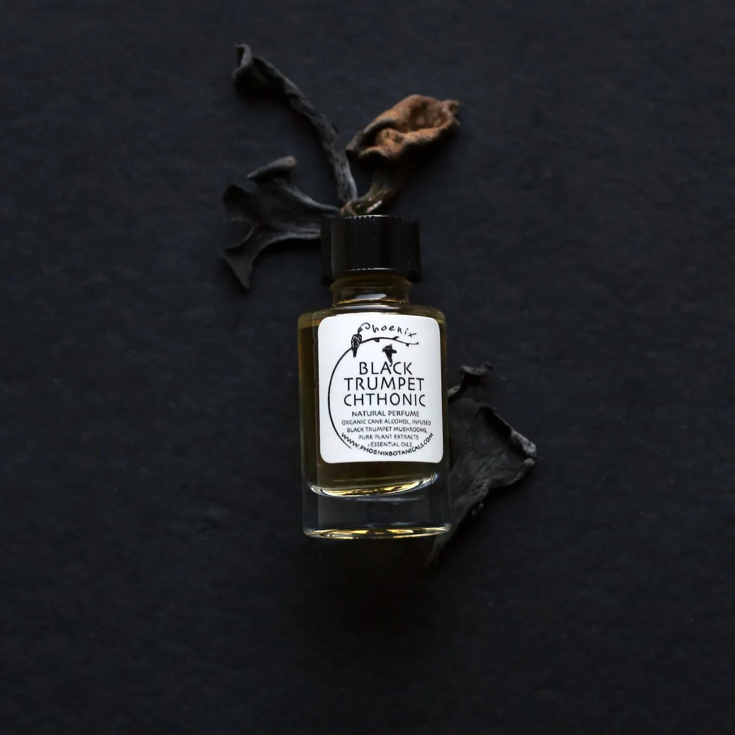 Irene Adam / Phoenix Botanicals "Black Trumpet Chthonic"