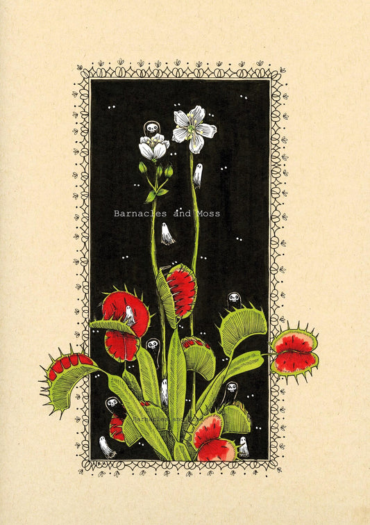 Barnacles and Moss "Venus Flytrap"
