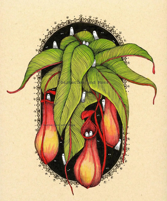 Barnacles and Moss "Pitcher Plant"
