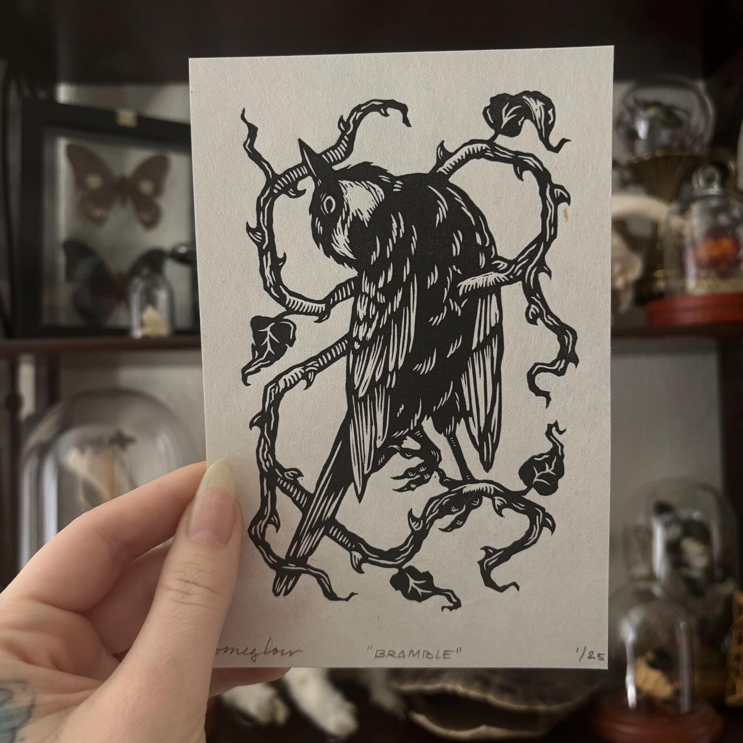 Moth & Bone "Bramble"