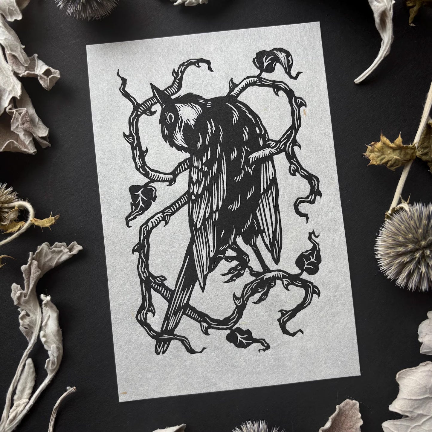 Moth & Bone "Bramble"