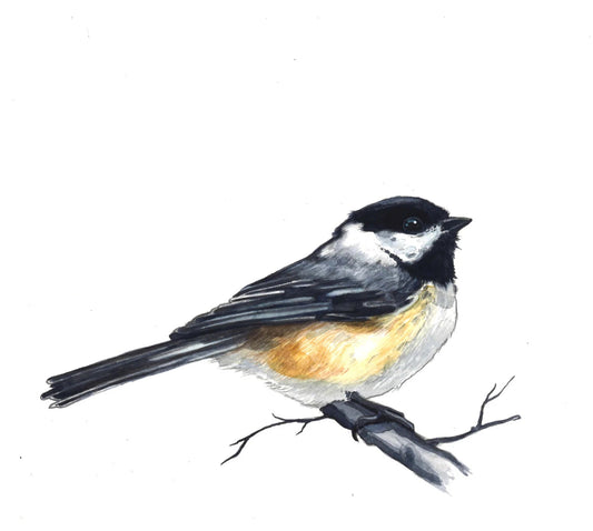 Artistic illustration of a bird perched on a branch with 'Bayla Art' branding.