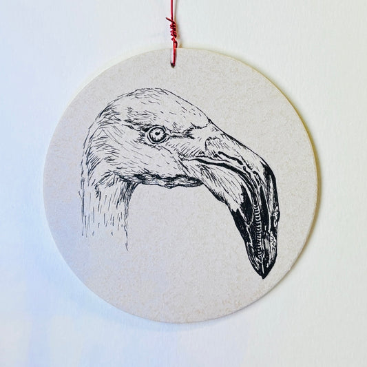 Klaus "Candy the Flamingo"