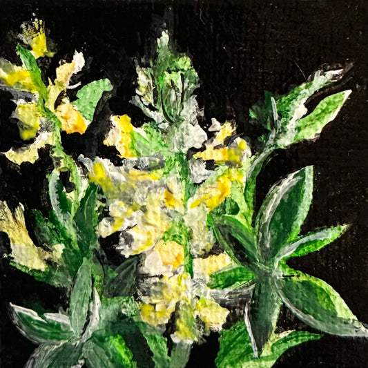 Maryann Cole "Sabin's Lupine"