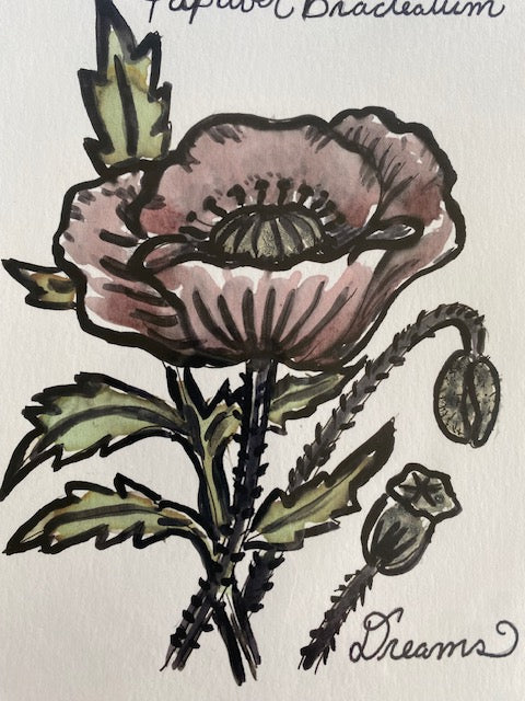 Felicia Howe "Poppy / Dreams"