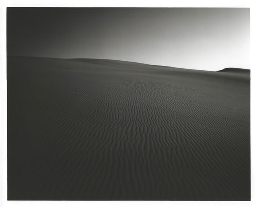 EJ Dove "Oregon Dune Study 2"