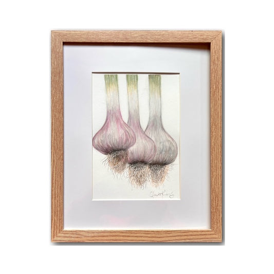 Claudia Kimberly "Garlic #3"
